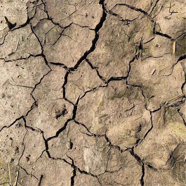 Çatlak yeryüzü arka planı. Toprak yüzeyinde çatlaklar var. Çamur çatlakları.