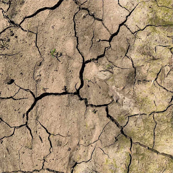 Çatlak yeryüzü arka planı. Toprak yüzeyinde çatlaklar var. Çamur çatlakları.