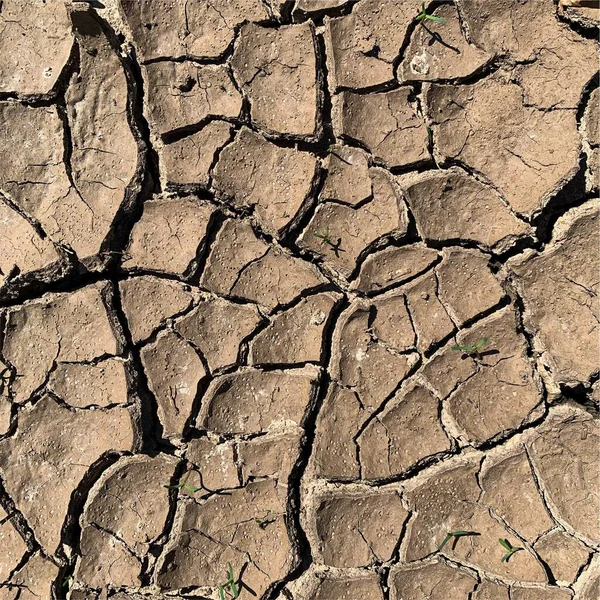 Çatlak yeryüzü arka planı. Toprak yüzeyinde çatlaklar var. Çamur çatlakları.