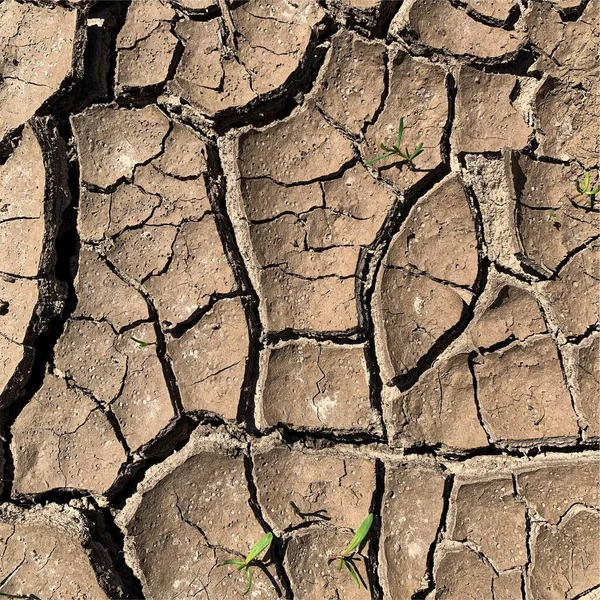 破壊された地球の背景 亀裂と乾燥した地面の表面 泥割れ — ストック写真