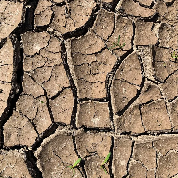 Fondo Tierra Agrietado Superficie Seca Con Grietas Grietas Barro — Foto de Stock