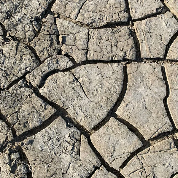 Çatlak yeryüzü arka planı. Toprak yüzeyinde çatlaklar var. Çamur çatlakları.