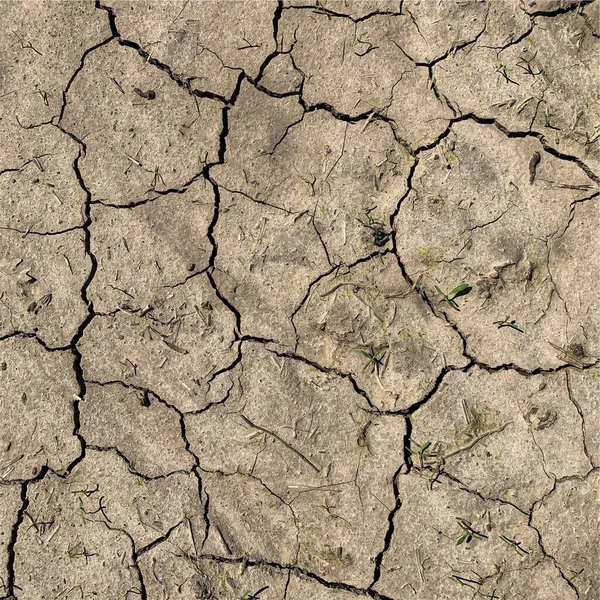 Çatlak yeryüzü arka planı. Toprak yüzeyinde çatlaklar var. Çamur çatlakları.