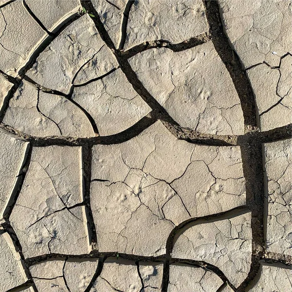 Fond Terre Fissuré Surface Sol Sèche Avec Fissures Fissures Boue — Photo