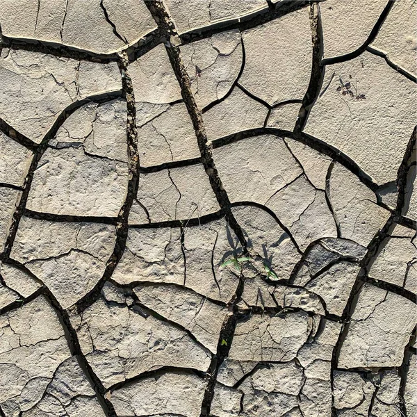 Fondo Tierra Agrietado Superficie Seca Con Grietas Grietas Barro —  Fotos de Stock