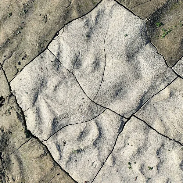 Çatlak yeryüzü arka planı. Toprak yüzeyinde çatlaklar var. Çamur çatlakları.