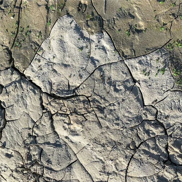 Çatlak Yeryüzü Arka Planı Toprak Yüzeyinde Çatlaklar Var Çamur Çatlakları — Stok fotoğraf
