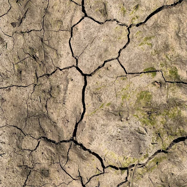 Çatlak yeryüzü arka planı. Toprak yüzeyinde çatlaklar var. Çamur çatlakları.