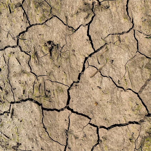 Çatlak yeryüzü arka planı. Toprak yüzeyinde çatlaklar var. Çamur çatlakları.