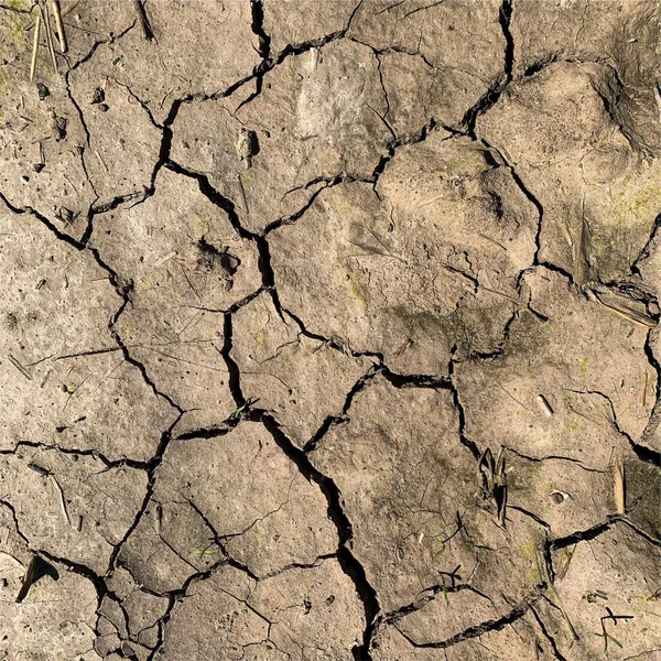 Fundo Terra Rachado Superfície Seca Solo Com Rachaduras Rachaduras Lama — Fotografia de Stock