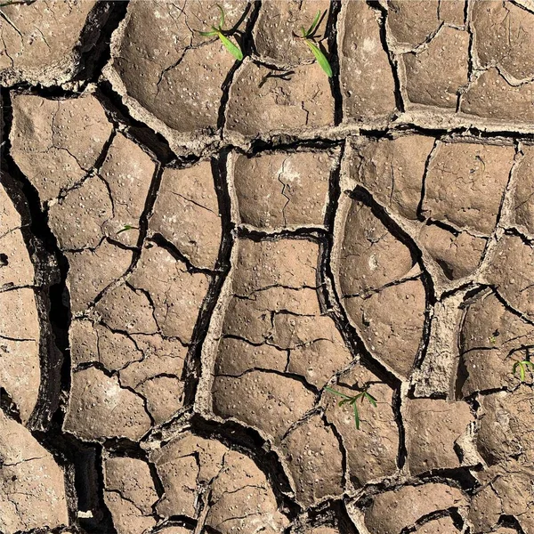 Çatlak yeryüzü arka planı. Toprak yüzeyinde çatlaklar var. Çamur çatlakları.