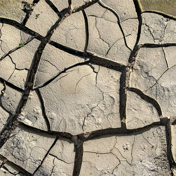 Çatlak yeryüzü arka planı. Toprak yüzeyinde çatlaklar var. Çamur çatlakları.