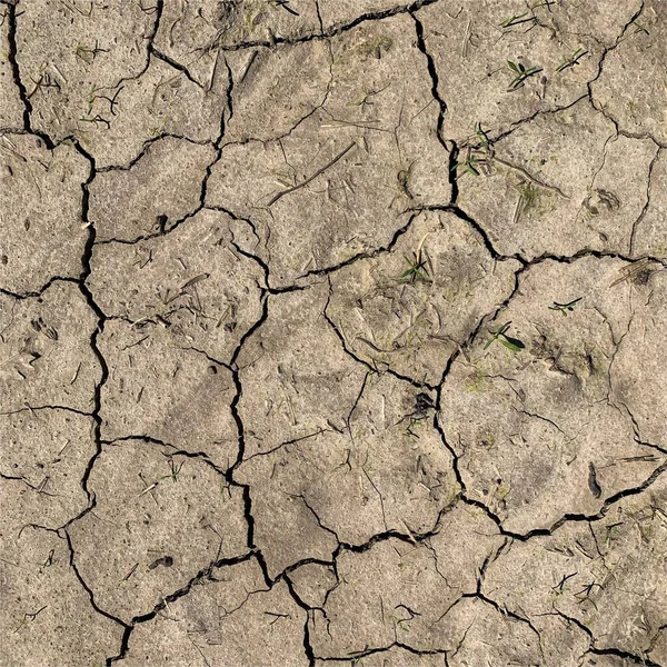 Çatlak yeryüzü arka planı. Toprak yüzeyinde çatlaklar var. Çamur çatlakları.