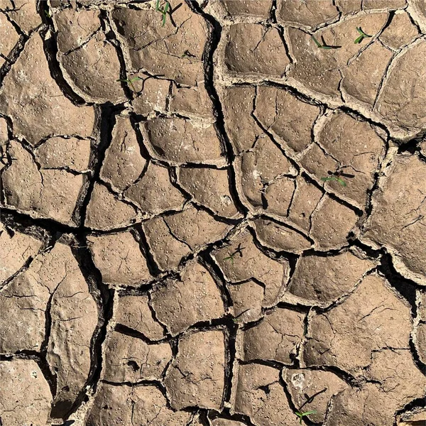 Çatlak yeryüzü arka planı. Toprak yüzeyinde çatlaklar var. Çamur çatlakları.