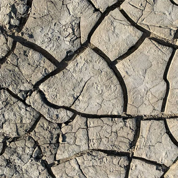 Çatlak yeryüzü arka planı. Toprak yüzeyinde çatlaklar var. Çamur çatlakları.