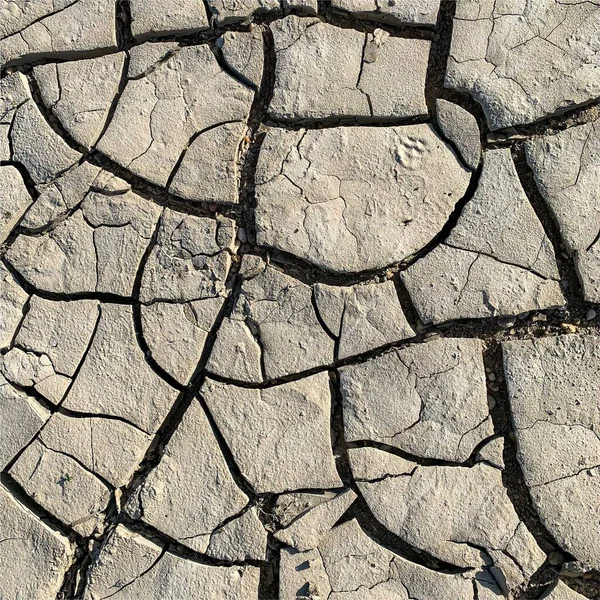Çatlak yeryüzü arka planı. Toprak yüzeyinde çatlaklar var. Çamur çatlakları.