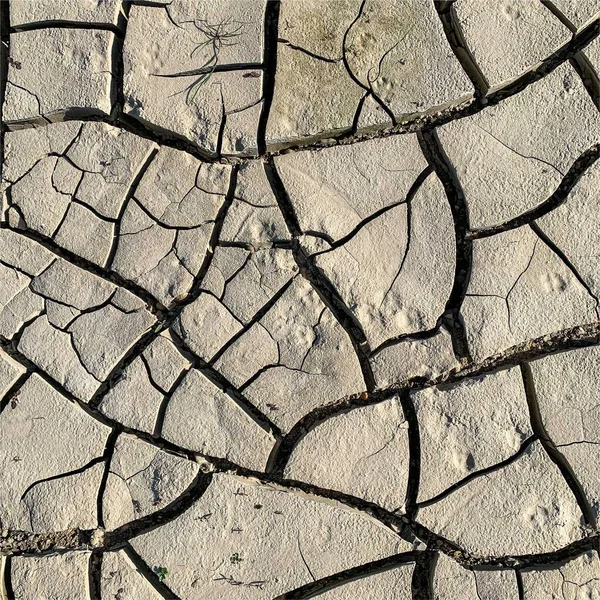 Cracked Earth Background Dry Ground Surface Cracks Mud Cracks — ストック写真