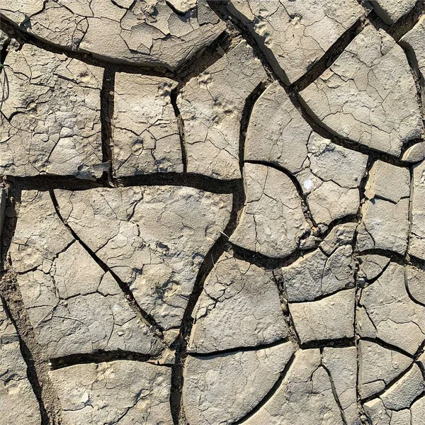 Çatlak yeryüzü arka planı. Toprak yüzeyinde çatlaklar var. Çamur çatlakları.