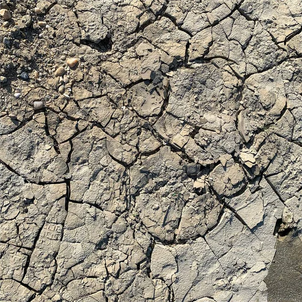 Çatlak yeryüzü arka planı. Toprak yüzeyinde çatlaklar var. Çamur çatlakları.