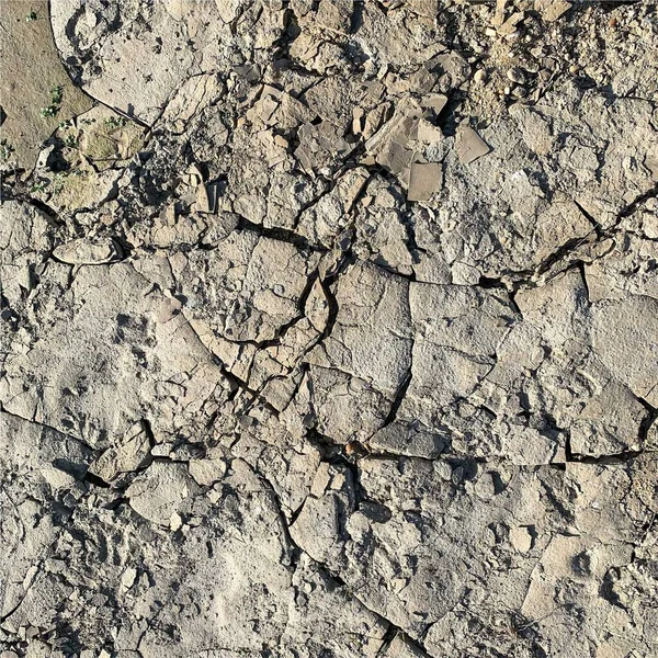 Çatlak yeryüzü arka planı. Toprak yüzeyinde çatlaklar var. Çamur çatlakları.