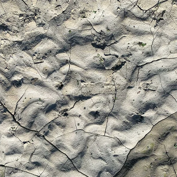 Çatlak yeryüzü arka planı. Toprak yüzeyinde çatlaklar var. Çamur çatlakları.