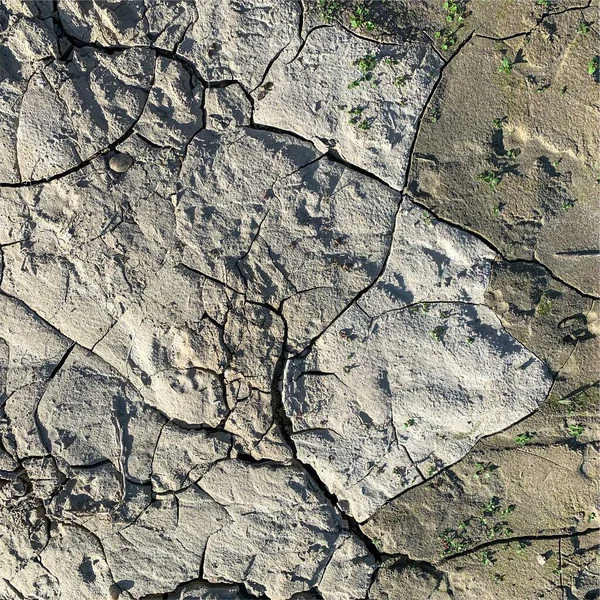 破碎的地球背景 干地表面有裂缝 泥巴裂缝 — 图库照片