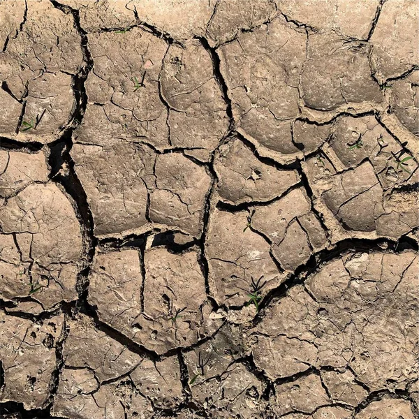 Cracked Earth Background Dry Ground Surface Cracks Mud Cracks — ストック写真