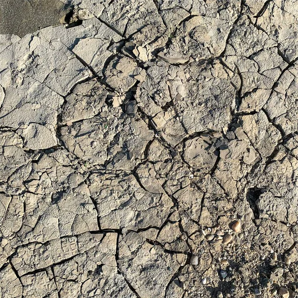 Çatlak yeryüzü arka planı. Toprak yüzeyinde çatlaklar var. Çamur çatlakları.
