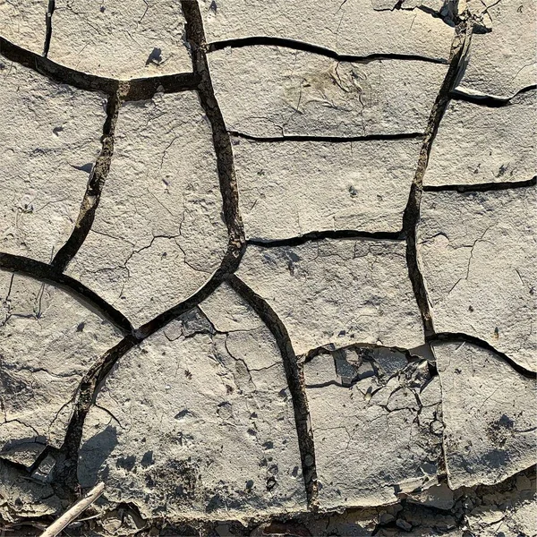 Çatlak yeryüzü arka planı. Toprak yüzeyinde çatlaklar var. Çamur çatlakları.