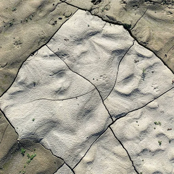 Çatlak yeryüzü arka planı. Toprak yüzeyinde çatlaklar var. Çamur çatlakları.