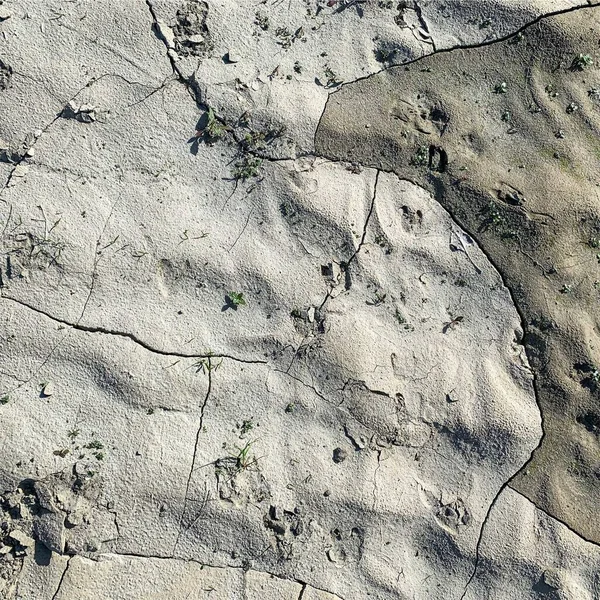 Çatlak yeryüzü arka planı. Toprak yüzeyinde çatlaklar var. Çamur çatlakları.