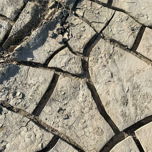 Çatlak yeryüzü arka planı. Toprak yüzeyinde çatlaklar var. Çamur çatlakları.