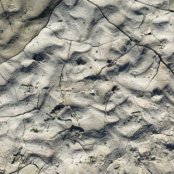 Çatlak yeryüzü arka planı. Toprak yüzeyinde çatlaklar var. Çamur çatlakları.