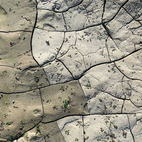 Çatlak yeryüzü arka planı. Toprak yüzeyinde çatlaklar var. Çamur çatlakları.