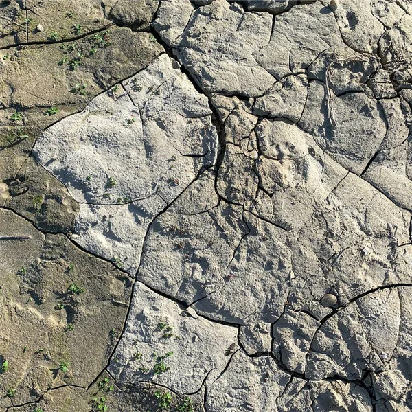 Çatlak yeryüzü arka planı. Toprak yüzeyinde çatlaklar var. Çamur çatlakları.