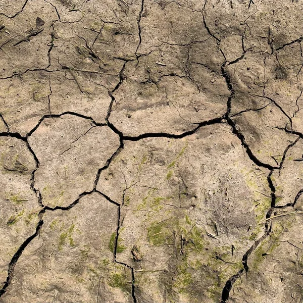 Çatlak yeryüzü arka planı. Toprak yüzeyinde çatlaklar var. Çamur çatlakları.