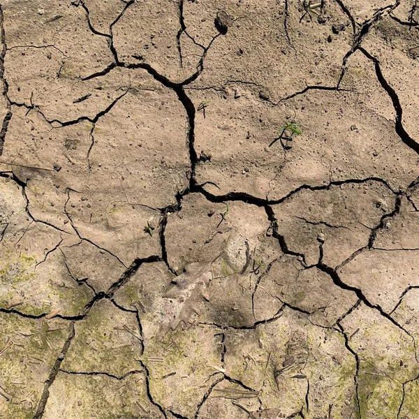 Çatlak yeryüzü arka planı. Toprak yüzeyinde çatlaklar var. Çamur çatlakları.