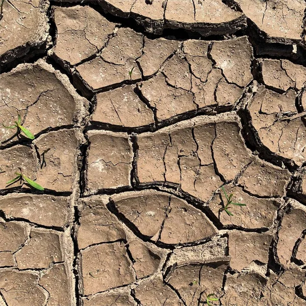 Çatlak yeryüzü arka planı. Toprak yüzeyinde çatlaklar var. Çamur çatlakları.