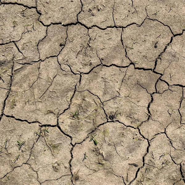 Fundo Terra Rachado Superfície Seca Solo Com Rachaduras Rachaduras Lama — Fotografia de Stock