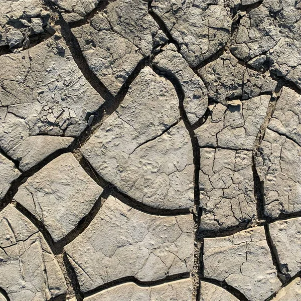 Çatlak yeryüzü arka planı. Toprak yüzeyinde çatlaklar var. Çamur çatlakları.