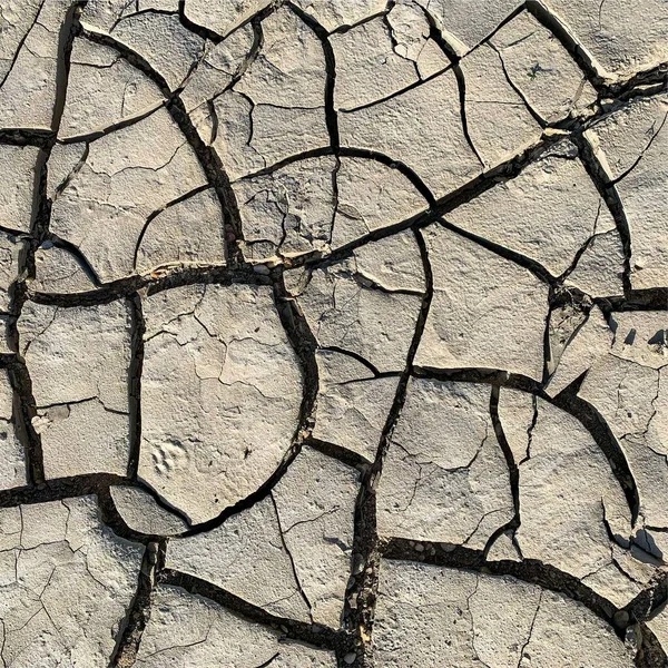 Çatlak yeryüzü arka planı. Toprak yüzeyinde çatlaklar var. Çamur çatlakları.
