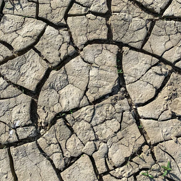 Çatlak yeryüzü arka planı. Toprak yüzeyinde çatlaklar var. Çamur çatlakları.