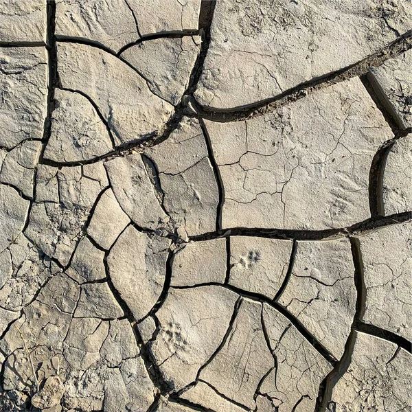 Cracked Earth Background Dry Ground Surface Cracks Mud Cracks — Stock Photo, Image