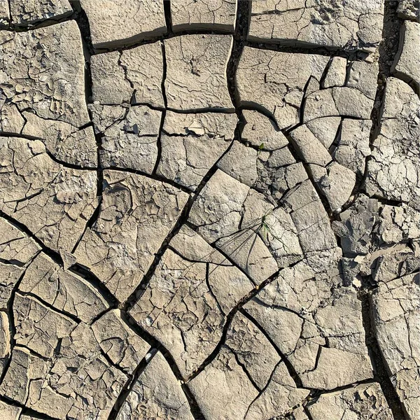Çatlak yeryüzü arka planı. Toprak yüzeyinde çatlaklar var. Çamur çatlakları.