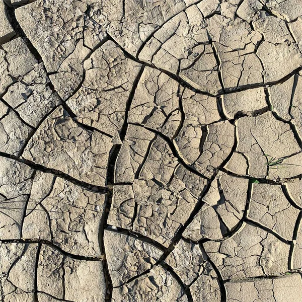 Cracked Earth Background Dry Ground Surface Cracks Mud Cracks — 스톡 사진