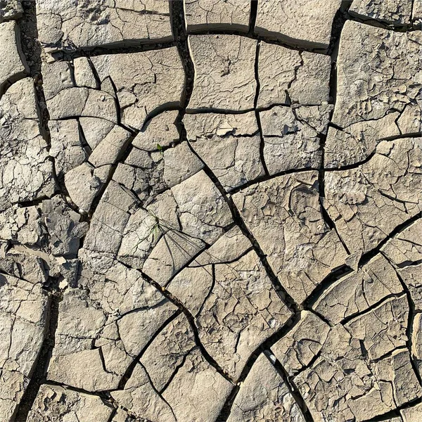 Çatlak yeryüzü arka planı. Toprak yüzeyinde çatlaklar var. Çamur çatlakları.