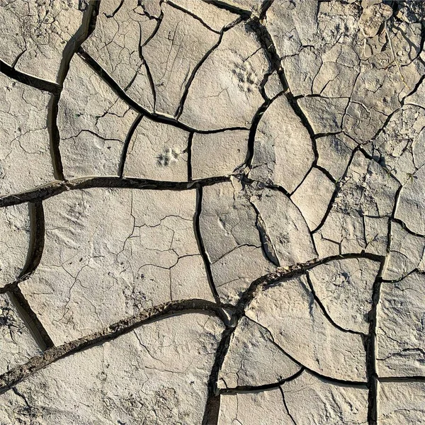 Трясется Земля Фон Сухая Поверхность Земли Трещинами Грязные Трещины — стоковое фото
