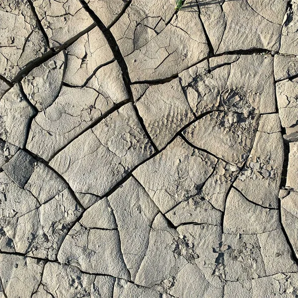 Трясется Земля Фон Сухая Поверхность Земли Трещинами Грязные Трещины — стоковое фото