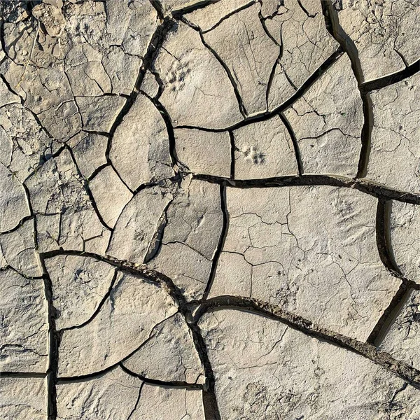 Cracked Earth Background Dry Ground Surface Cracks Mud Cracks — Stock Photo, Image