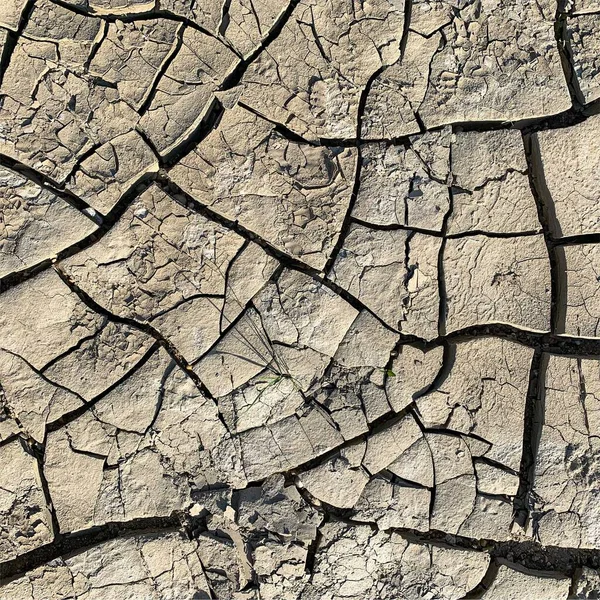 Cracked Earth Background Dry Ground Surface Cracks Mud Cracks — ストック写真